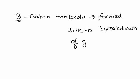 name-the-three-carbon-compound-molecules-that-is-formed-due-to-break-down-of-glucose-during-respiration-25214