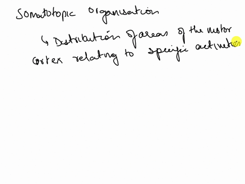 which-is-true-regarding-somatotopic-organization-select-one-a-certain-areas-of-the-body-have-much-higher-representation-in-the-primary-somatosensory-cortex-than-other-areas-and-these-regions-30254