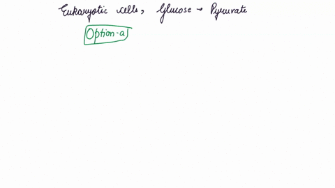 in-eukaryotic-cells-the-pathway-converting-glucose-to-pyruvate-occurs-in-the-select-one-cytosol-mitochondrial-matrix-mitochondrial-intermembrane-space-inner-mitochondrial-membrane-nucleus-17021
