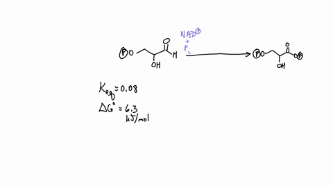 the-oxidation-of-glyceraldehyde-3-phosphate-to-13-bisphosphoglycerate-catalyzed-by-glyceraldehyde-3-phosphate-dehydrogenase-proceeds-with-an-unfavorable-equilibrium-constant-keq-008-g-63-kjm-61914
