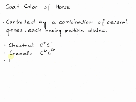 horses-can-be-cremello-light-cream-color-chestnut-a-brownish-color-or-palomino-a-golden-color-of-these-phenotypes-only-the-palominos-never-breed-true-a-palomino-by-palomino-cross-yields-the-94266