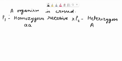 aner-kchol-thee-lolloring-questions-unow-not-be-acceptet-nerk-in-detail-just-giting-the-final-answer-when-crossing-organism-that-is-homozyeous-recessive-for-single-trait-with-a-heterozyeoie-13263