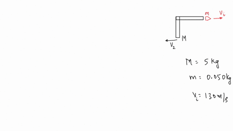 calculate-the-magnitude-of-the-recoil-velocity-of-a-50-kg-rifle-that-shoots-a-0050-kg-bullet-at-a-speed-of-130-ms