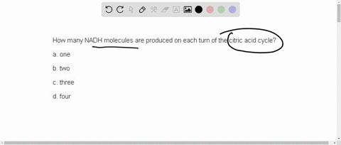 how-many-nadh-molecules-are-produced-on-each-turn-of-the-citric-acid-cycle-a-one-b-two-c-three-d-fou-16511