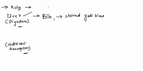 describe-the-roles-of-the-liver-in-digestion-and-nutrient-absorption-59537