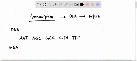 if-a-dna-strand-with-the-sequence-aatagcgcggtattc-is-transcribed-which-of-the-following-accurately-represents-the-newly-synthesized-mrna-strand-49473