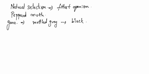 can-you-explain-the-concepts-of-the-four-observations-using-the-moth-as-an-example-in-other-words-how-does-the-moth-illustrate-the-theory-of-natural-selection-00615