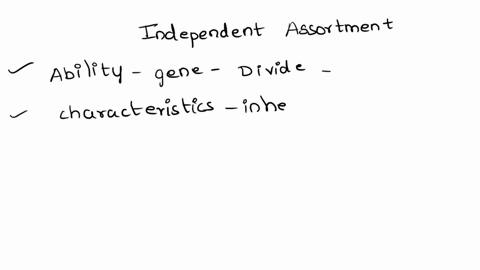 explain-the-principle-of-independent-assortment-and-its-relation-to-meiosis-6875
