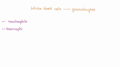 which-white-blood-cells-are-characterized-as-granulocytes-check-all-that-apply-neutrophils-eosinophils-monophils-lymphocytes-macrophages-prev-89814