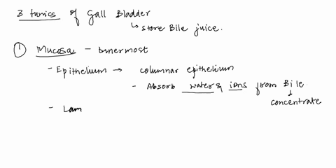 describe-the-three-tunics-of-the-gallbladder-wall-46578