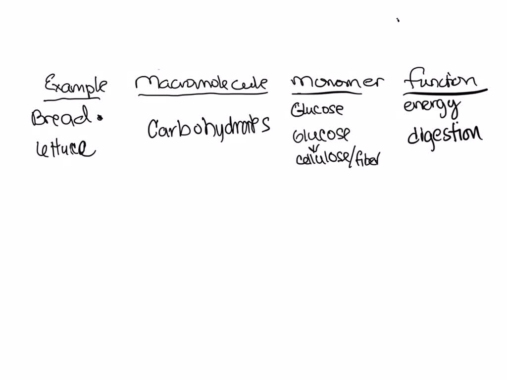 SOLVED Identify the macromolecule, monomer, and biological function