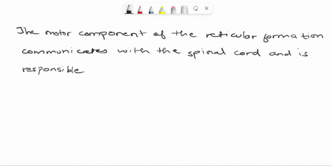 which-part-of-the-brain-is-responsible-for-autonomic-motor-functions-such-as-respiration-blood-pressure-and-heart-rate-as-well-as-for-regulating-muscle-tone-multiple-choice-a-sensory-compone-11063