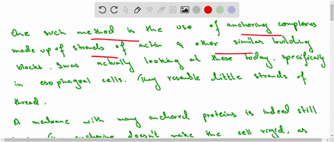 describe-the-different-methods-that-cells-use-to-restrict-proteins-to-specific-regions-of-the-plasma-83386