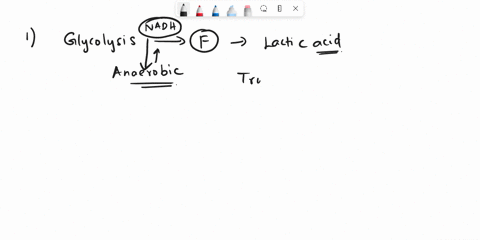 1-true-or-false-in-anaerobic-organisms-the-nadh-from-glycolysis-must-be-oxidized-through-fermentation-2-true-or-false-the-electrons-that-flow-through-all-of-glucose-catabolism-begin-their-jo-27158