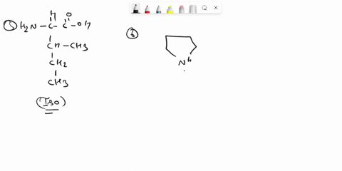 draw-the-structures-include-r-groups-of-all-20-of-the-amino-acids-identify-the-differences-between-the-nonpolar-amino-acids-and-the-polar-uncharged-amino-acids-32573
