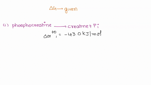 the-standard-free-energy-changes-for-the-reactions-below-are-given-phosphocreatine-creatine-pi-g-430-kjmol-atp-adp-pi-g-305-kjmol-what-is-the-overall-g-for-the-following-reaction-creatine-at-94899
