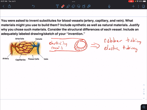 you-were-asked-to-invent-substitutes-for-blood-vessels-artery-capillary-and-vein-what-materials-might-you-use-to-build-them-include-synthetic-as-well-as-natural-materials-justify-why-you-chose-such-2