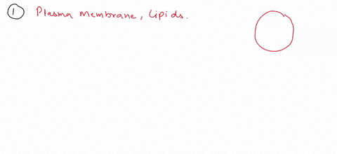 complete-each-statement-describing-the-plasma-membrane-and-the-cytoplasm-by-dragging-a-label-into-the-appropriate-blank-cytoplasm-the-surrounds-the-cell-and-is-made-of-proteins-and-cytosol-t-05383
