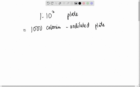 an-individual-has-000-colonies-on-their-undiluted-plate-and-masochistically-chose-t0-count-all-of-these-and-no-colonies-on-their-negative-control-plate-if-they-performed-the-serial-dilution-65418
