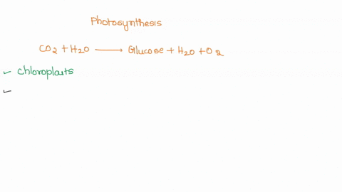 the-equation-below-represents-a-summary-of-the-biological-process-of-photosynthesis-carbon-dioxide-water-glucose-water-oxygen-this-process-is-completed-in-chloroplasts-cell-membranes-mitocho-81514