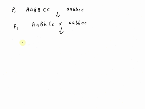 a-parent-who-is-dominant-for-three-genes-carrying-dominant-traits-aabbcc-is-crossed-with-a-parent-who-is-recessive-for-the-same-traits-aabbcc-p-cross-aabbcc-x-aabbcc-the-resulting-f1-generat-89456