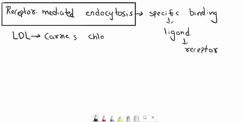 explain-receptor-mediated-endocytosis-with-the-example-of-ldl-uptake-as-an-example-explain-one-kind-of-genetic-defect-mutation-in-the-gene-coding-for-ldl-receptor-that-leads-to-high-blood-ch-42421