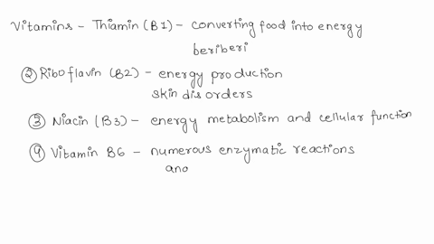 vitamins-water-fat-soluble-major-functions-in-the-body-deficiency-disorder-when-lacking-synthesized-made-from-thiamin-riboflavin-niacin-b-vitamins-i-limited-synthesis-b6-folate-b12-b-vitamin-86683