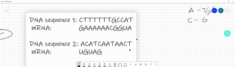 the-sequence-below-shows-a-mrna-sequence-derived-from-a-template-strand-of-a-dna-molecule-dna-sequence-1-cttttttgccat-dna-sequence-2-acatcaataact-dna-sequence-3-tacaagggttct-a-determine-the-77773