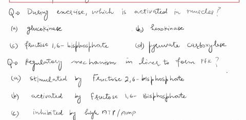 after-carbohydrates-rich-meal-which-one-of-the-following-is-expected-to-happen-in-the-liver-a-ppt-is-activated-to-phosphorylated-glycogen-synthase_-b-glycogen-breakdown-is-activated-c-pfk-is-57522