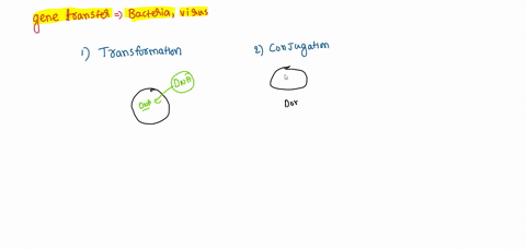 which-of-the-following-methods-of-horizontal-gene-transfer-in-bacteria-involves-use-of-a-virus-particle-conjugation-transformation-transduction-47869