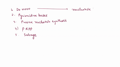 nucleotide-synthesis-forms-nucleotide-bases-from-component-parts_-are-built-from-bicarbonate-aspartate-_-and-ammonia-and-then-added-to-prpp-synthesis-is-more-complex-and-the-base-is-assemble-37234