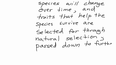 hypothetically-what-would-charles-darwin-have-seen-on-his-voyage-on-the-hms-beagle-in-the-1830s-and-could-it-have-supported-his-theory-of-evolution-81137