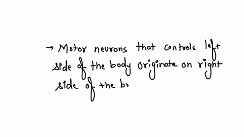 a-brain-hemorrhage-within-the-region-of-the-right-internal-capsule-results-in-paralysis-of-the-left-side-of-the-body-explain-why-the-left-side-rather-than-the-right-side-is-affected-motor-neurons-unde