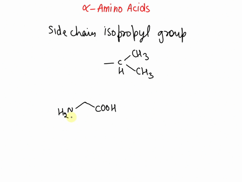draw-an-amino-acid-with-an-isopropyl-chch-side-chain_-draw-the-molecule-as-it-would-appear-at-physiological-ph-c-x-6-2-click-and-drag-to-start-drawing-a-structure-50525
