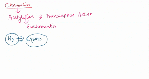 one-way-chromatin-remodeling-can-occur-is-by-covalent-modification-of-histones-describe-the-effect-of-histone-acetylation-and-histone-deacetylation-on-chromatin-structure-include-the-role-of-84171