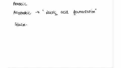 explain-the-process-of-fermentation-that-takes-place-in-eukaryotic-cells-such-as-muscle-cells-why-are-the-products-of-fermentation-necessary-for-anaerobic-respiration-to-continue-89577