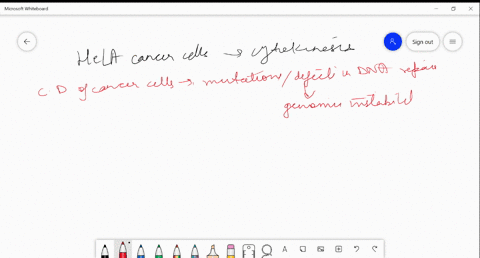 shown-here-are-two-hela-cancer-cells-that-are-just-completing-cytokinesis-explain-how-the-cell-divis-36704