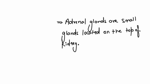 in-which-region-of-the-body-would-you-find-the-adrenal-glands-select-one-a-chest-b-abdomen-c-neck-d-head