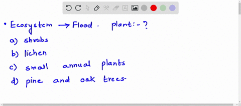 an-ecosystem-has-experienced-a-flood-which-type-of-plants-would-you-expect-to-see-growing-first-after-the-flood-shrubs-lichen-small-annual-plants-pine-and-oak-trees-14069