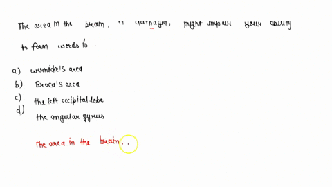 the-area-in-the-brain-that-if-damaged-might-impair-your-ability-to-form-words-is-a-wernickes-area-b-46513