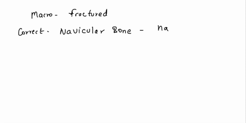 please-help-marco-was-walking-down-the-stairs-at-school-and-tripped-over-his-untied-shoelace-causing-him-to-fall-down-the-stairs-marco-ended-up-having-pain-to-the-medial-tarsal-region-and-wa-81353