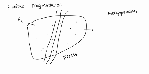 which-negative-effect-can-habitat-fragmentation-have-on-a-metapopulation-0-a-it-can-make-patches-smaller-thus-increasing-patch-extinction-rate-b-it-can-make-patches-more-isolated-thus-decrea-73925
