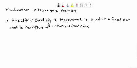 describe-the-mechanisms-by-which-hormones-act-on-cells-25034