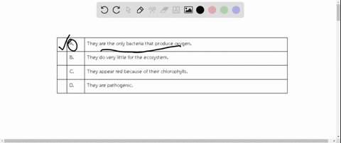which-of-the-following-is-true-about-cyanobacteria-a-they-are-the-only-bacteria-that-produce-oxygen-b-they-do-very-little-for-the-ecosystem-c-they-appear-red-because-of-their-chlorophylls-d-92074