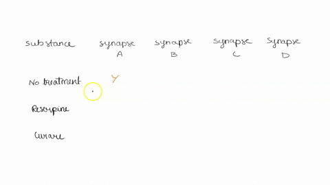 the-below-figure-shows-eleven-neurons-petri-dlsh-that-comprise-circuit-and-the-major-neurotransmitter-associated-with-each-synapse-indicated_-for-the-sake-of-this-assienment-assume-that-the-53112