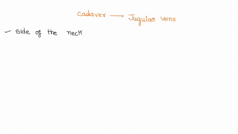 if-you-were-dissecting-a-cadaver-where-would-you-look-for-the-internal-and-external-jugular-veins-what-muscle-would-help-you-distinguish-one-from-the-other-12958