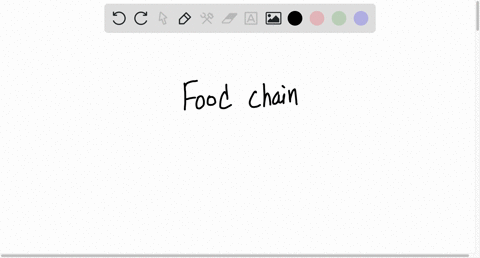 a-food-chain-is-a-model-that-represents-how-energy-and-matter-are-transferred-through-an-ecosystem-typically-a-food-chain-has-five-or-fewer-links-because-a-no-organism-exists-that-eats-more-16163