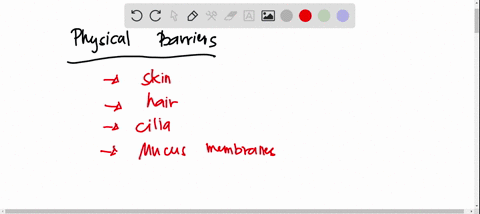 the-physical-barriers-that-are-part-of-the-immune-system-function-by-having_-amucus-that-traps-pathogens-and-other-foreign-substances-bnone-of-the-answers-are-correct-c-all-of-the-answers-ar-99319