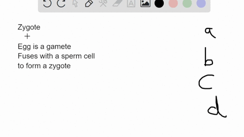 how-does-a-zygote-differ-from-a-mature-egg-a-a-zygote-has-more-chromosomes-b-a-zygote-is-smaller-c-2-79534