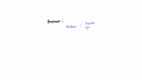 multiple-choice-question-in-thick-skin-there-is-an-extra-layer-of-epidermal-cells-this-layer-is-called-the-stratum